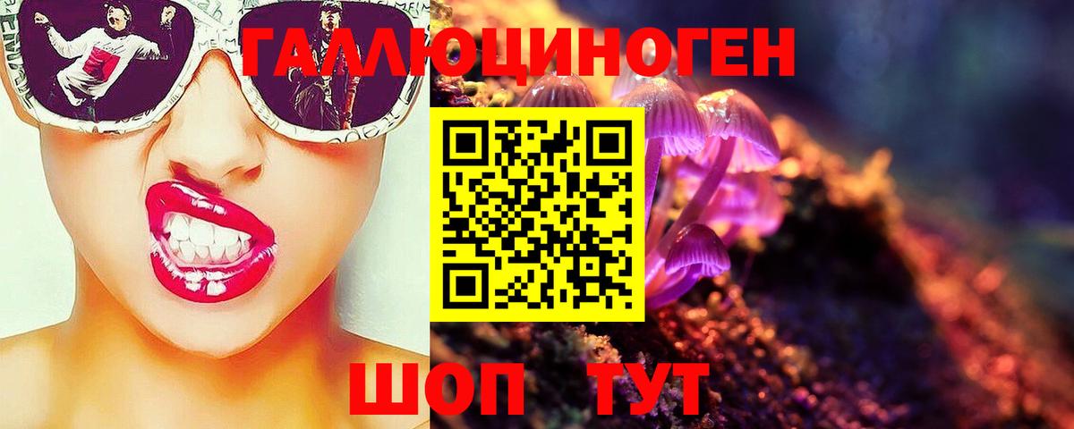 Псилоцибиновые грибы GOLDEN TEACHER Тула