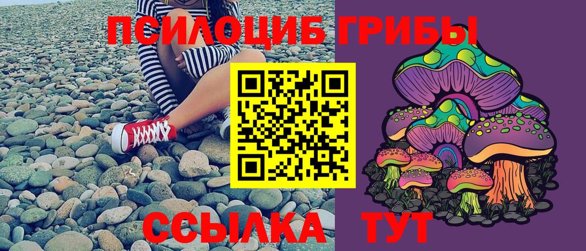 Псилоцибиновые грибы ЛСД  Вход с VPN  Тула 